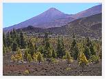 Teide * 1280 x 960 * (293KB)